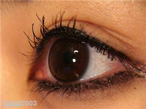 National Eye Week announced for November 